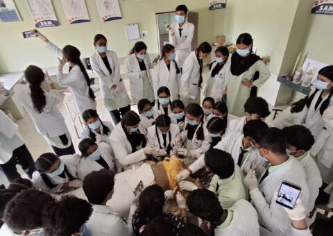 WhatsApp Image 2025-09-16 at 11.17.15_4c36d38e